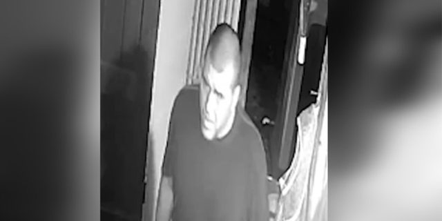 Male suspect