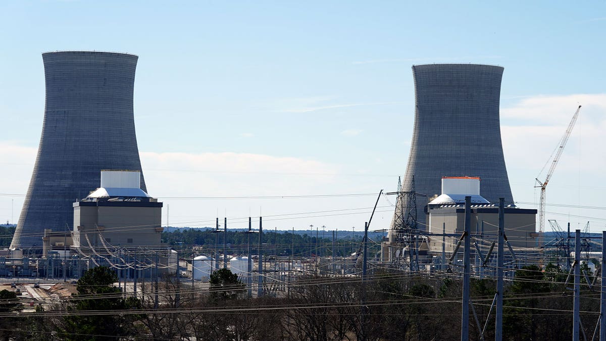 vogtle reactor units