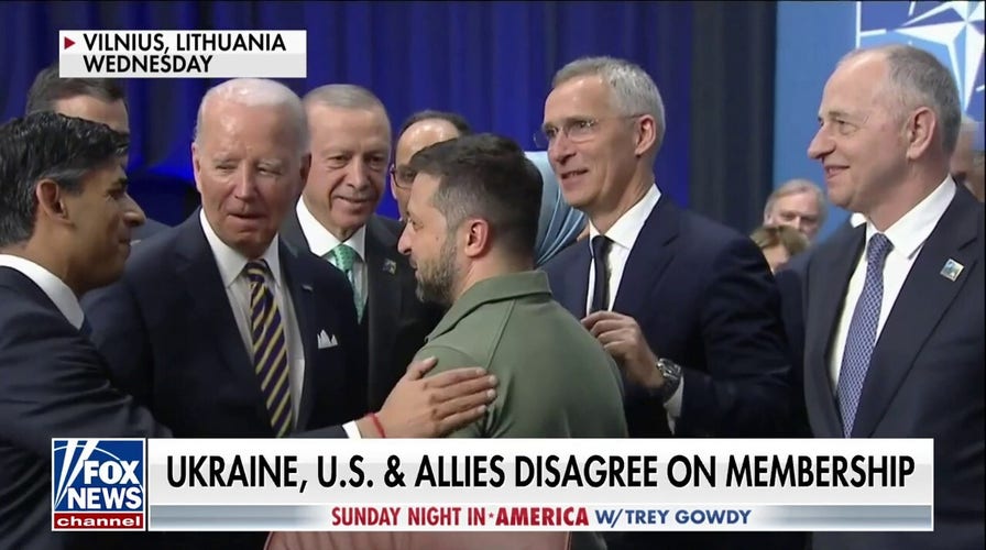 U.S., Germany do not want Ukraine in NATO now, disagree with allies