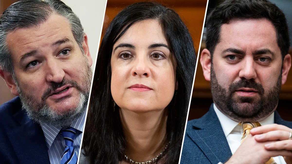 Sen. Ted Cruz, Rep. Nicole Malliotakis, Rep. Mike Lawler