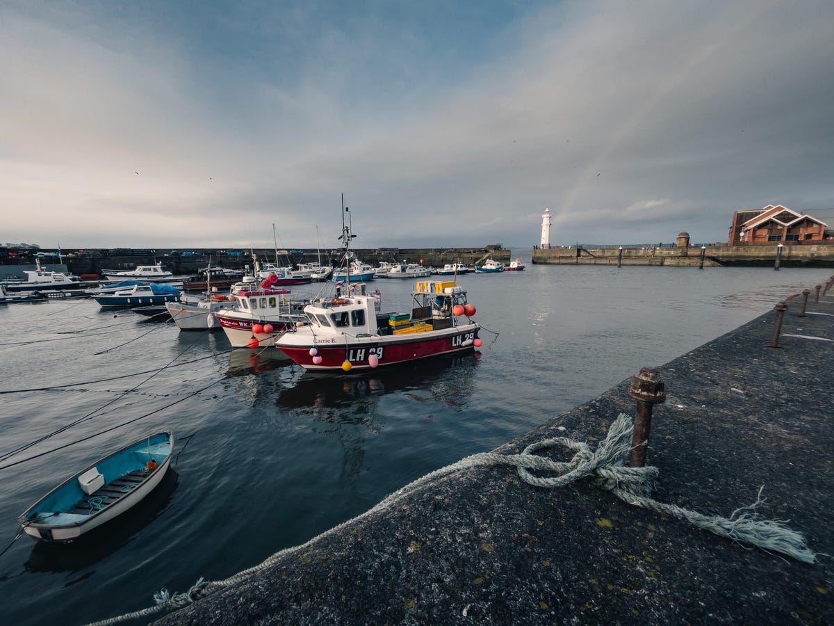 fishing boats