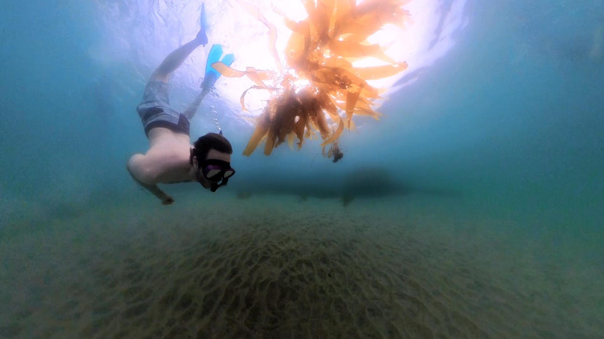 invisible-selfie-stick