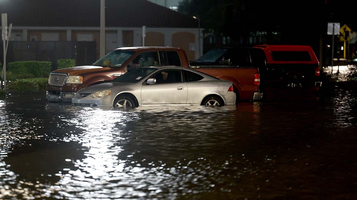 Hurricane Idalia flooding