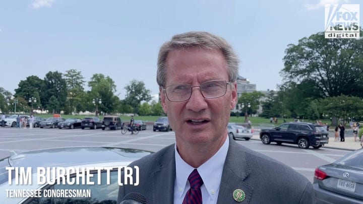 ‘Spoiled’ actors should return to work, GOP rep says as Congress wrangles AI