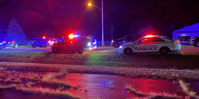 Police cars, lights