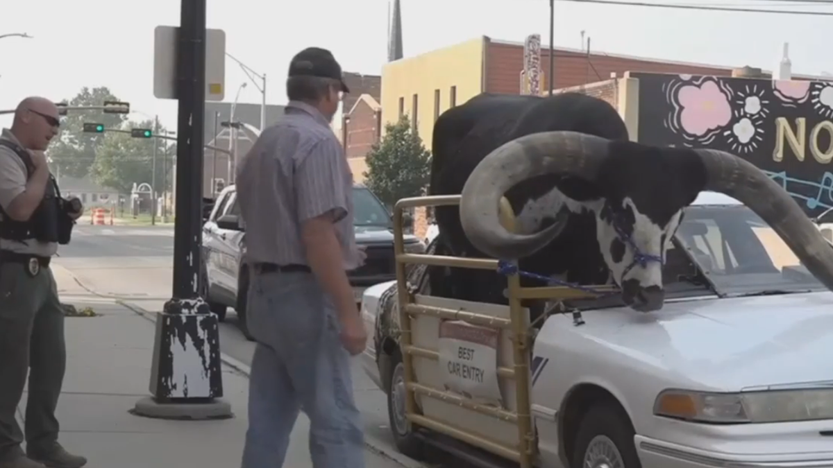 Howdy Doody bull sits in car in Nebraska