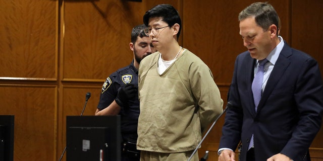Alleged rapist doctor in handcuffs in a courtroom
