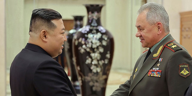 Shoigu, Kim shaking hands