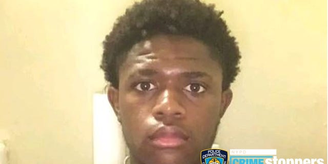 Bronx assault suspect photo