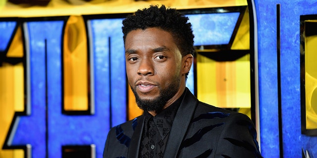 Chadwick Boseman on the red carpet