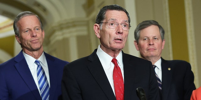 John Barrasso, John Thune, Steve Daines