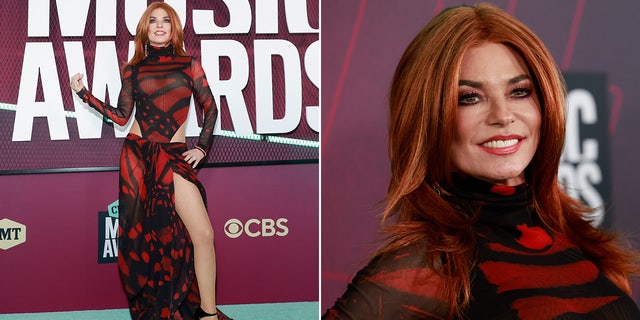 Shania Twain wears red wig to match see-through dress.