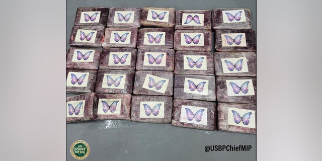 bricks of cocaine