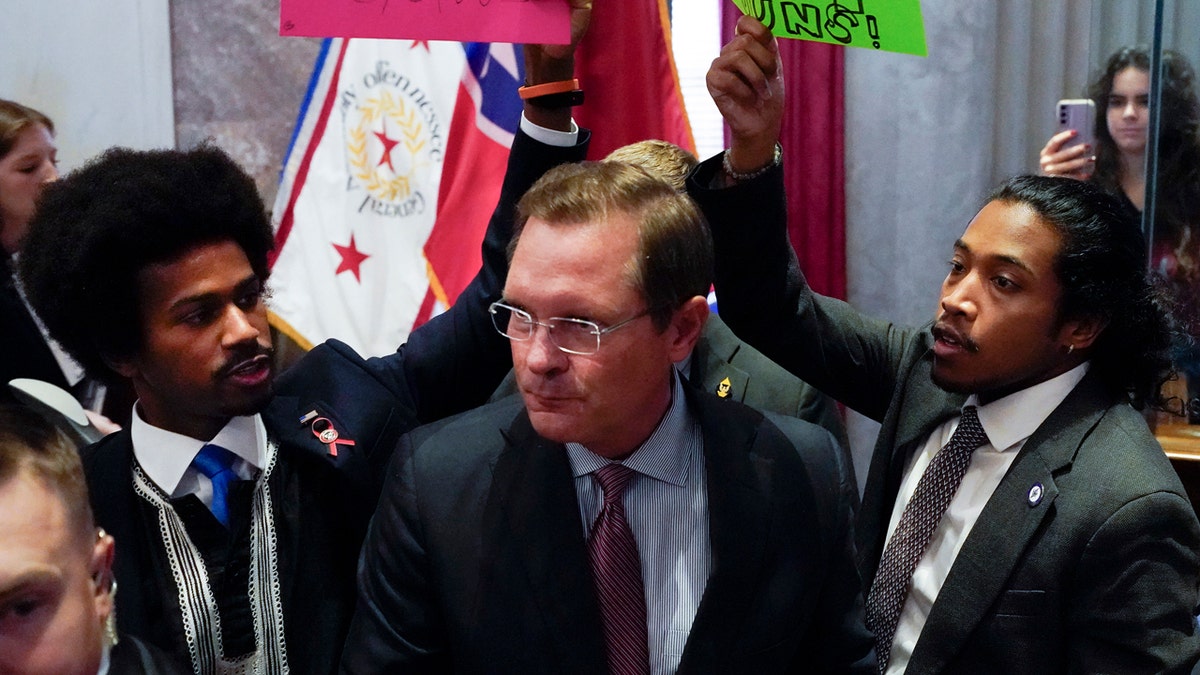 TN state legislature