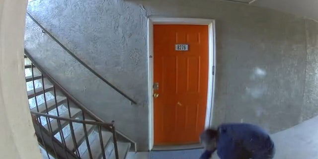 Dallas apartment shooting