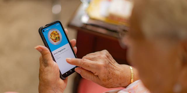 Susie is ordering from Wing delivery service on her smartphone