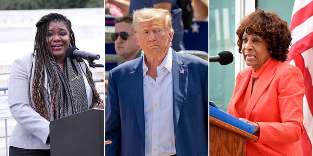 Cori Bush, Donald Trump Maxine Waters