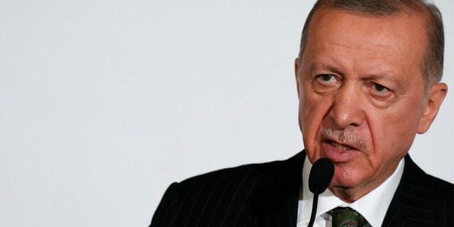 Turkey Erdogan
