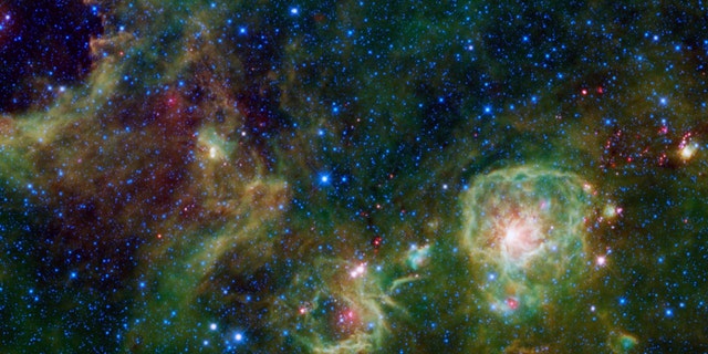 The Vela Constellation