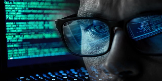 A man looking at a computer screen