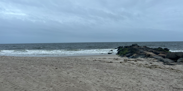 Beach where shark attack happened