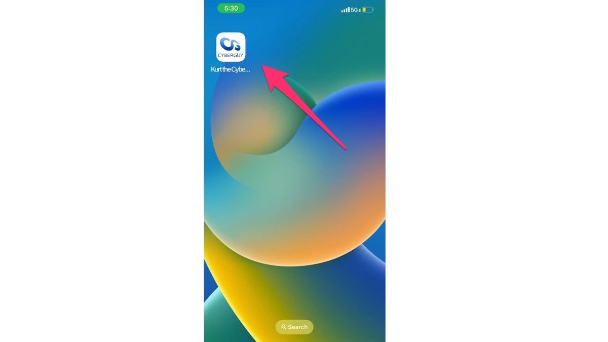 Screenshot of the iOS home screen.