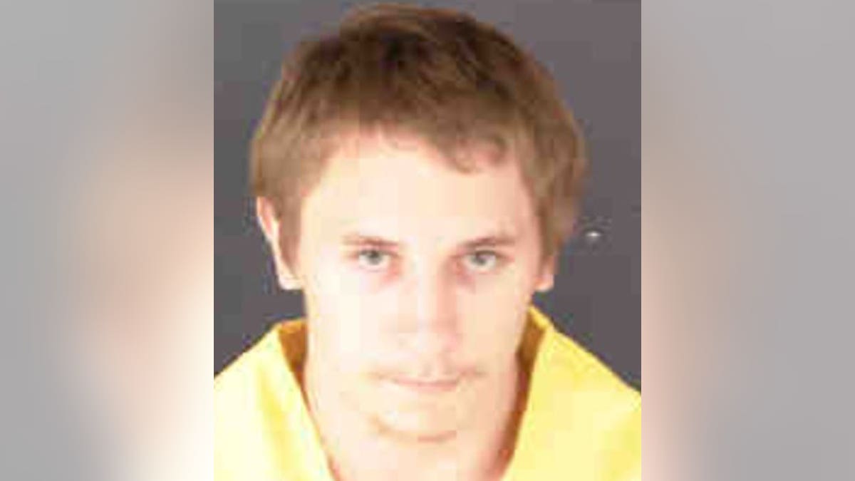 Dima Tower mugshot 