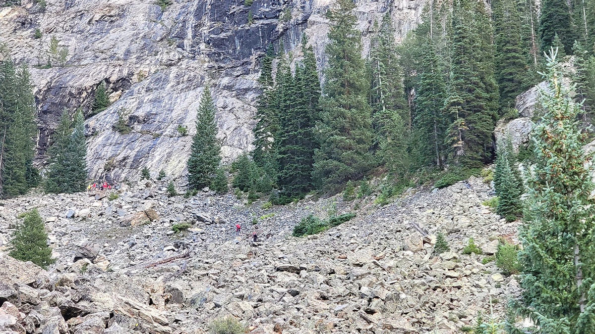 Trees, rocks