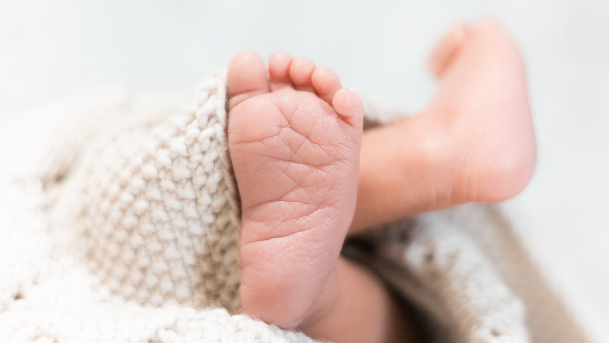 Baby feet 