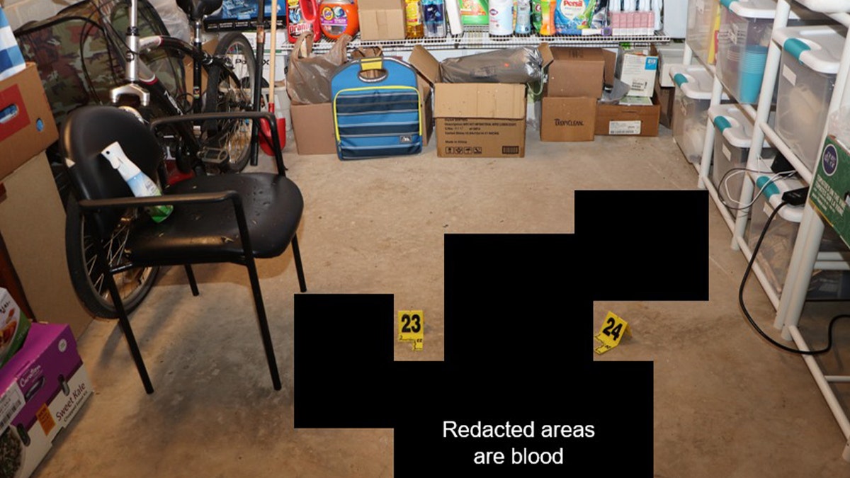 Crime scene in basement of Georgia home