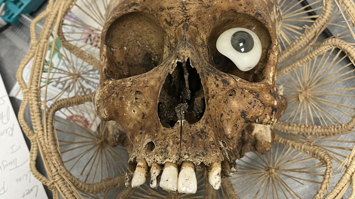 Skull found at Goodwill store in Arizona