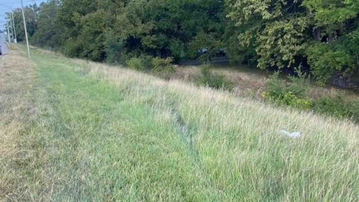 ditch that car careened through