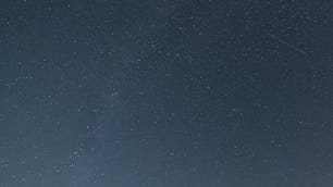 Perseid