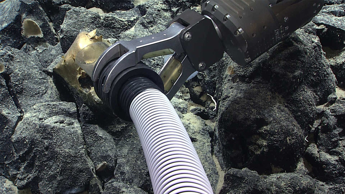 NOAA suctions unknown specimen off Gulf of Alaska seafloor