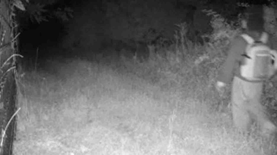 Danelo Souza Cavalcante on trail cam