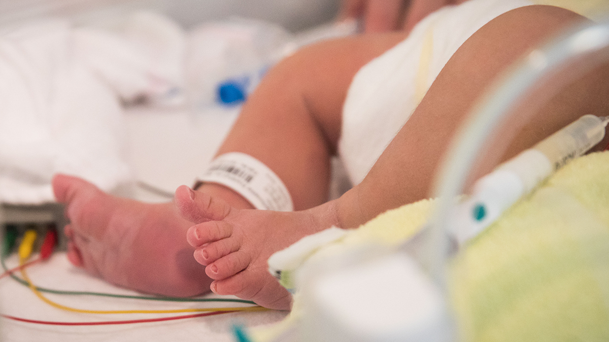 Baby's feet