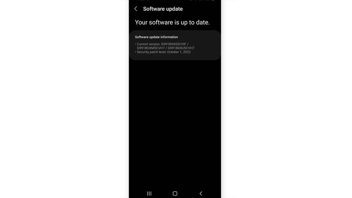 screenshot of phone saying "your software is up to date"