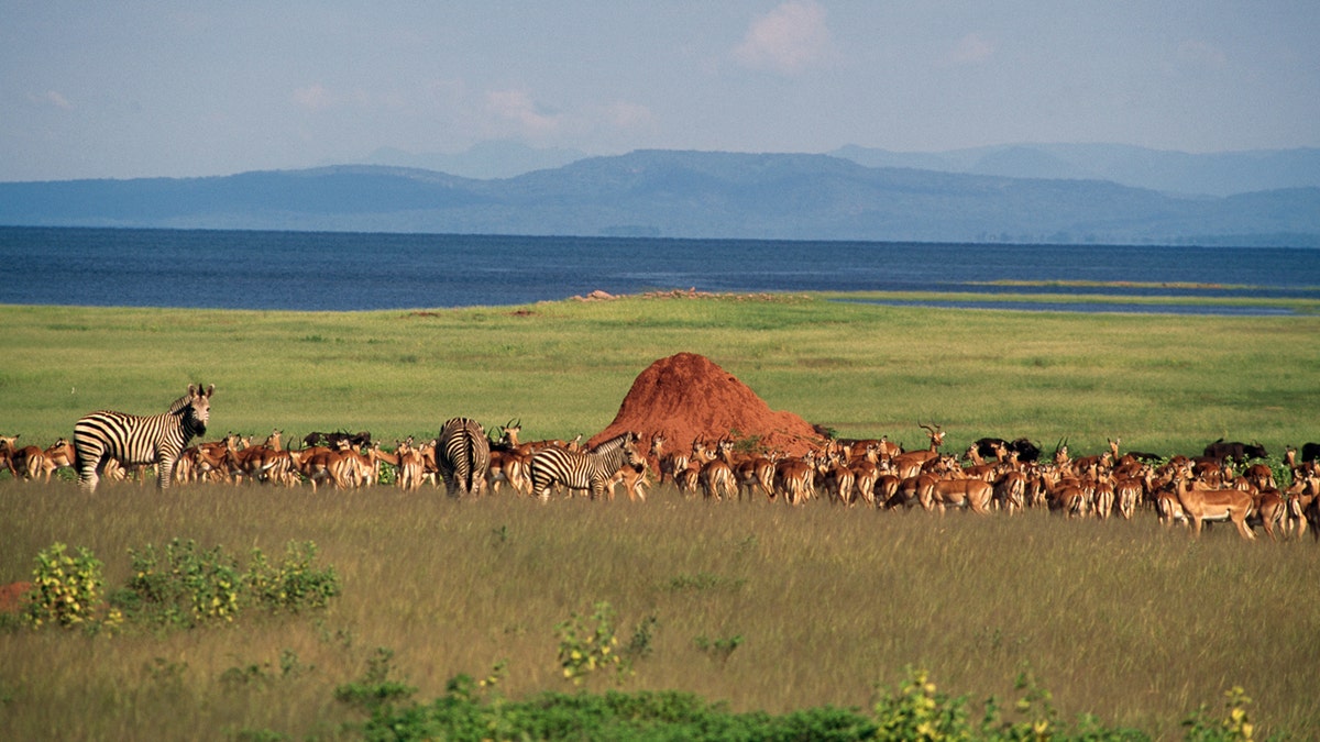 Matusadona National Park