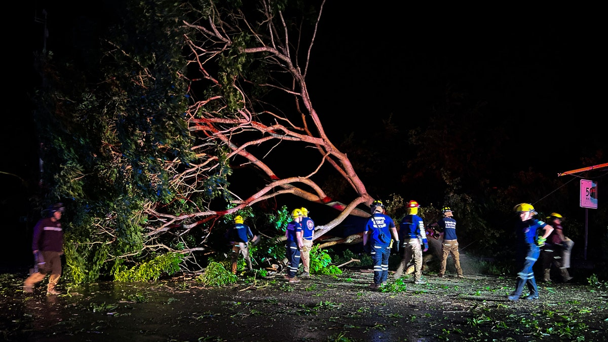 Hurricane Lidia aftermath