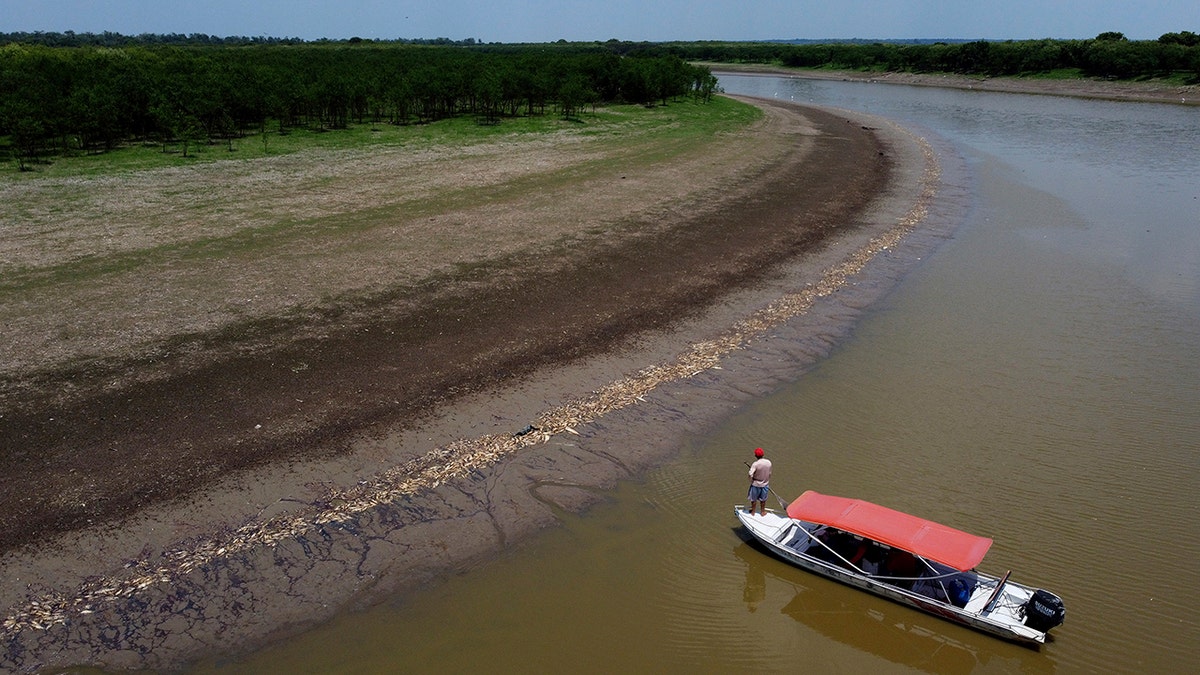 A boat, dead fish