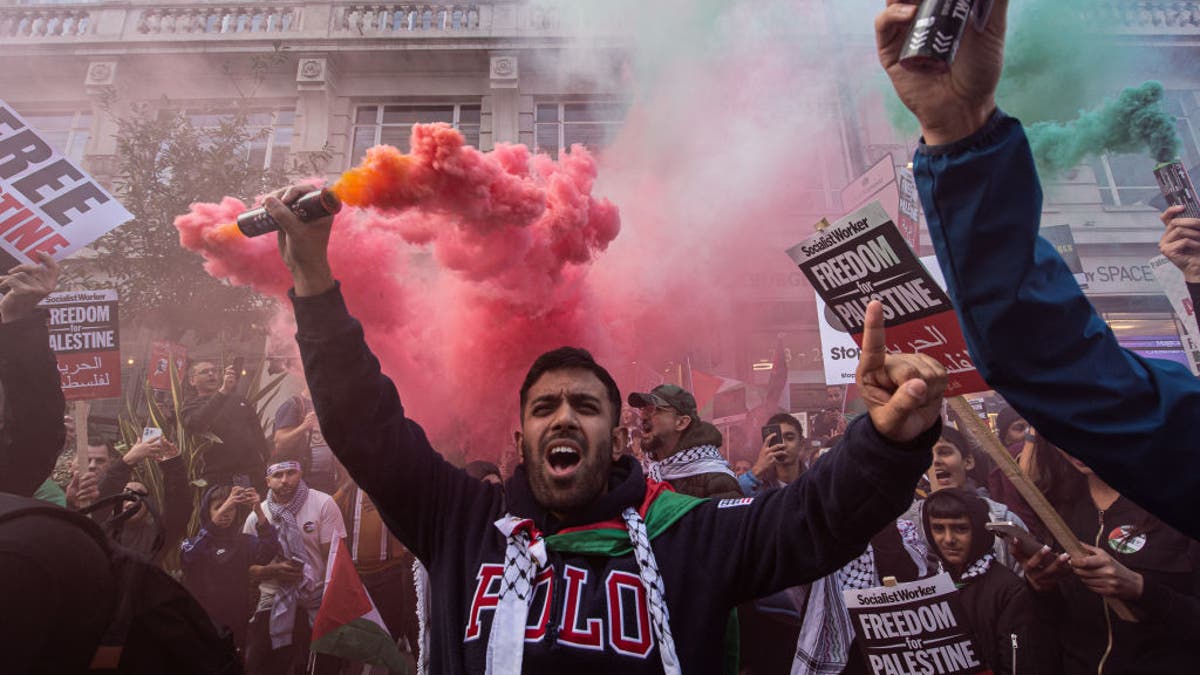 Pro-Palestinian march, London, UK