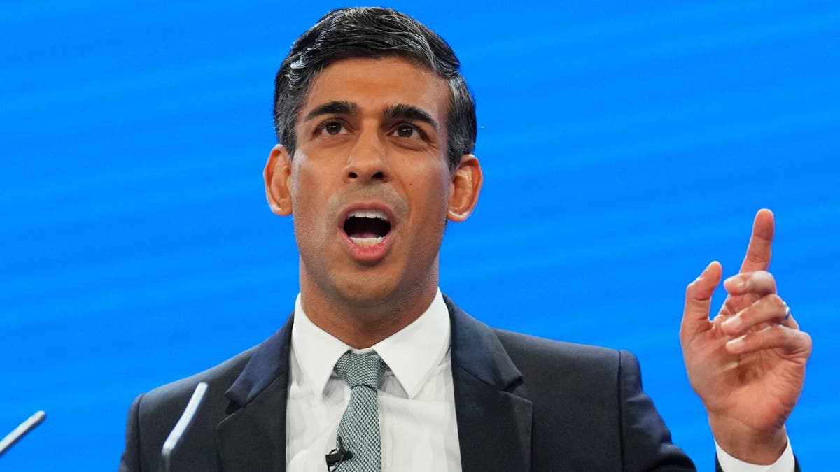 Rishi Sunak speaks to crowd