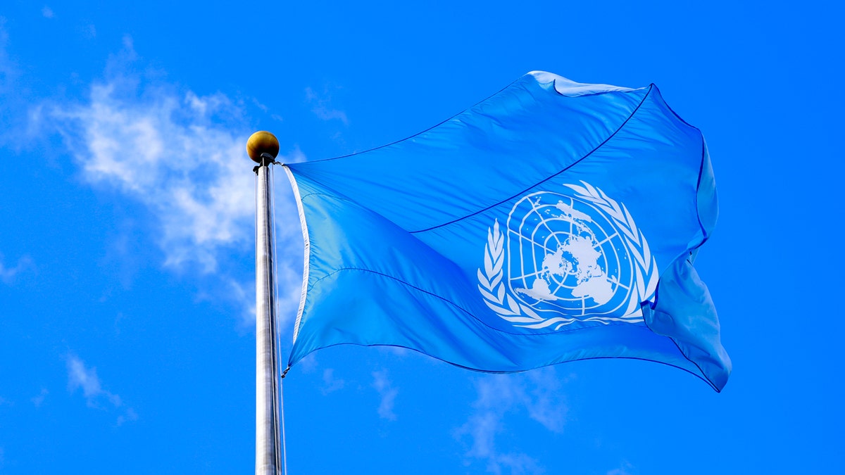 UN flag 