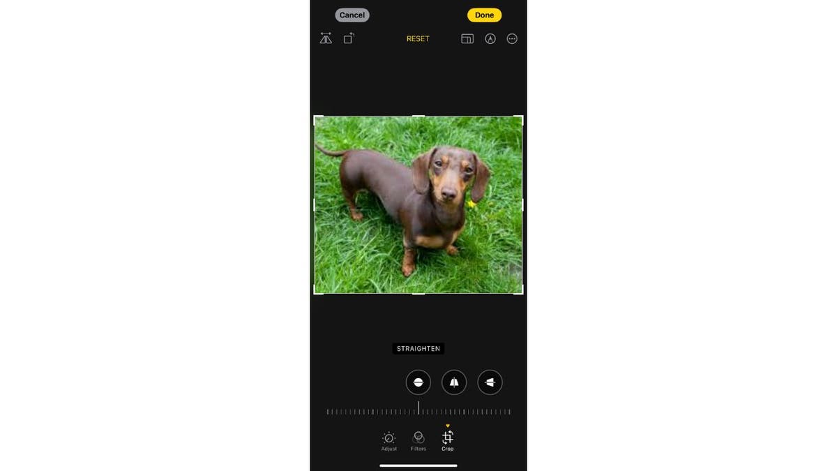 iOS photos 5 surprises