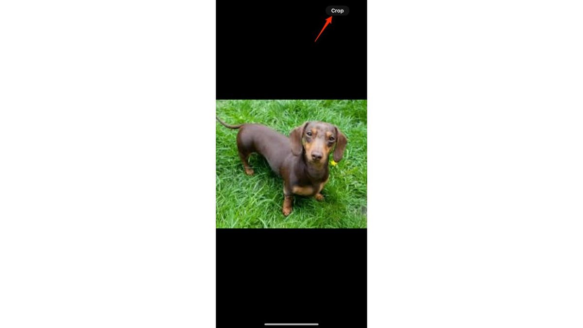 iOS photos 5 surprises