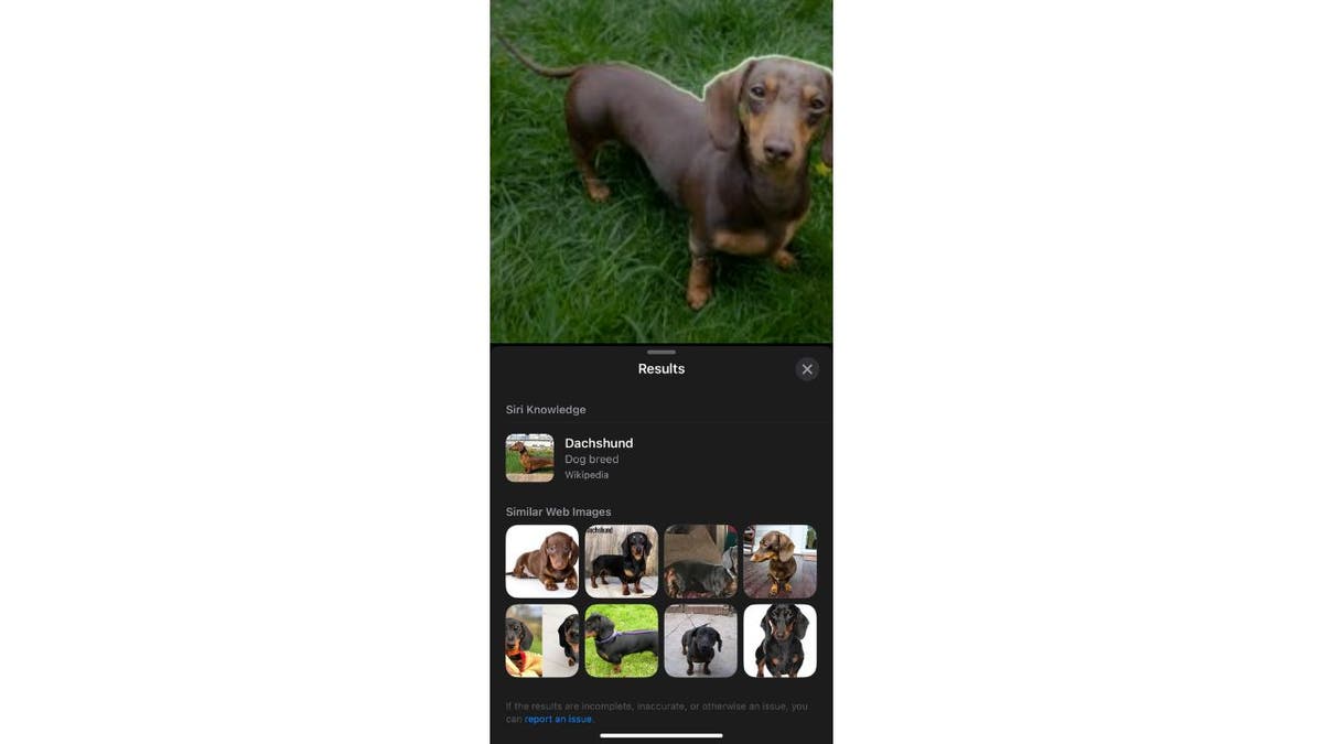 iOS photos 5 surprises