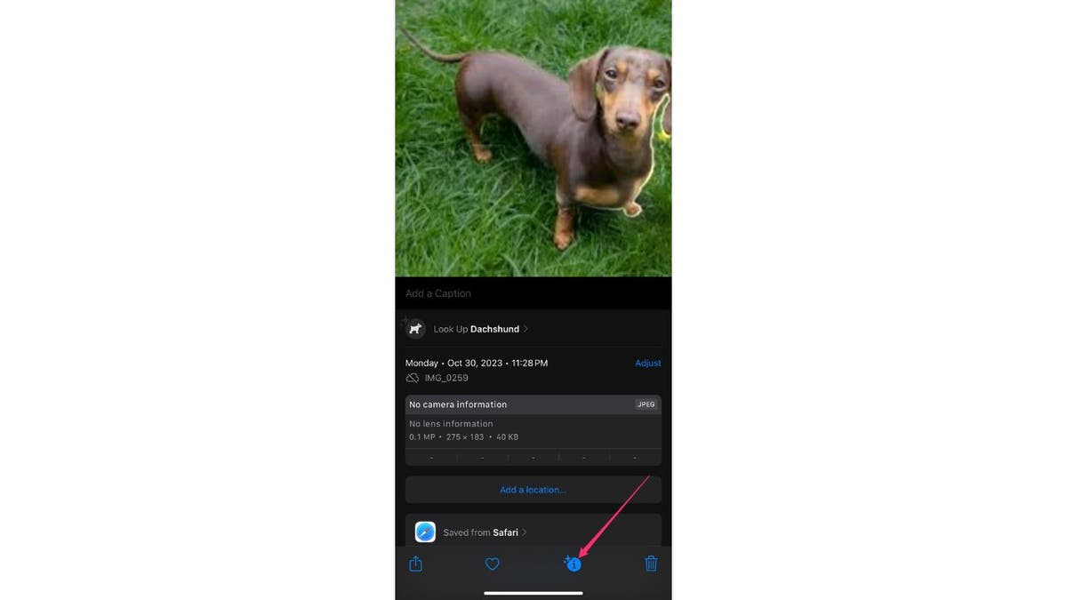 iOS photos 5 surprises