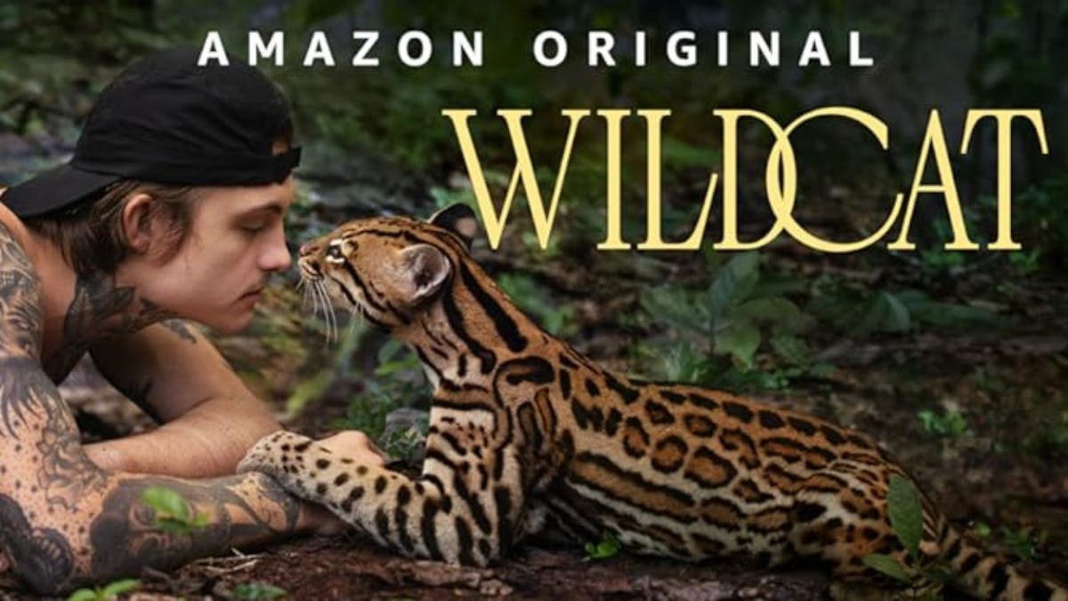 wildcat