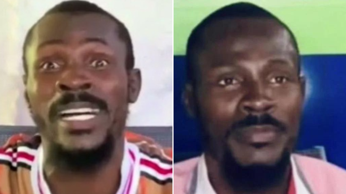 Vitel’Homme Innocent seen in a side by side picture