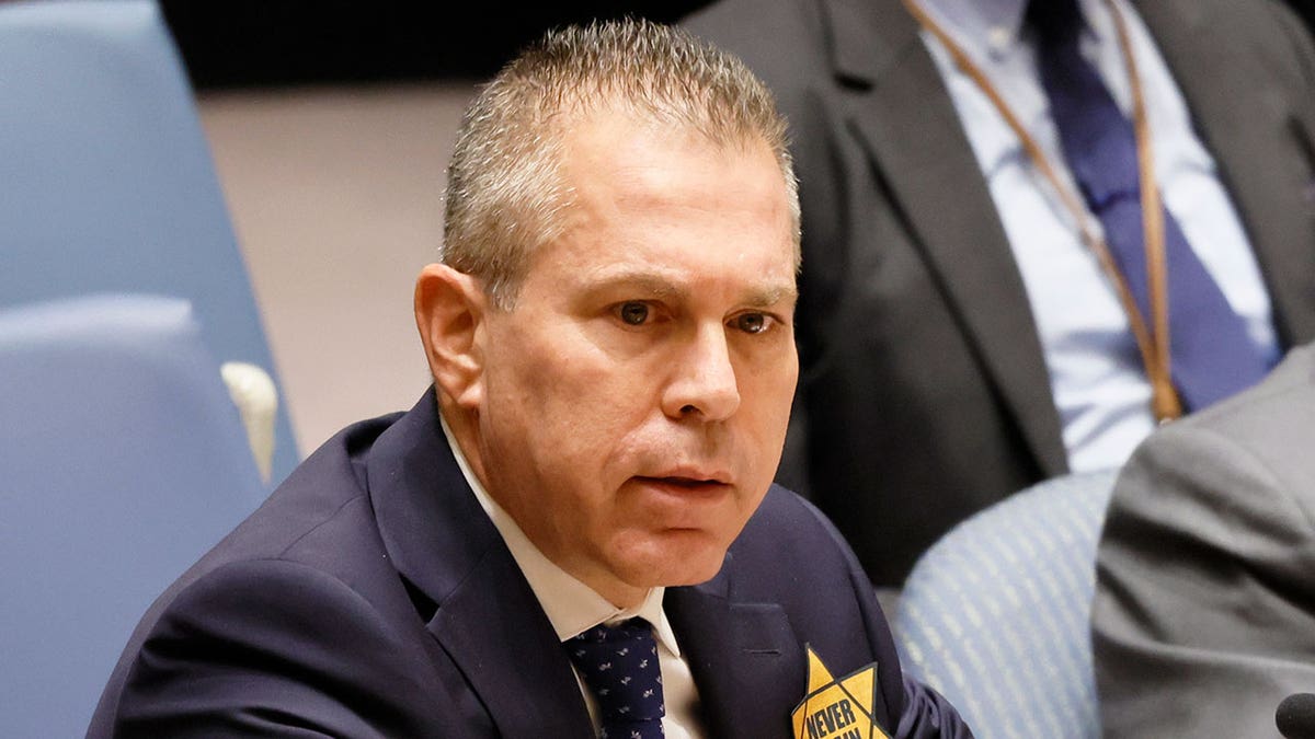Gilad Erdan